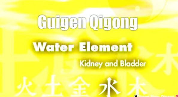 Guigen-Chinese-Medical-Qigong-Water-Element-Part-4