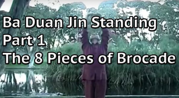Ba-Duan-Jin-Standing-Qigong-8-pieces-of-Brocade-Simon-Blow-Qigong