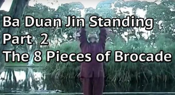 Ba-Duan-Jin-Standing-Qigong-Part-2-8-pieces-of-Brocade-Simon-Blow-Qigong