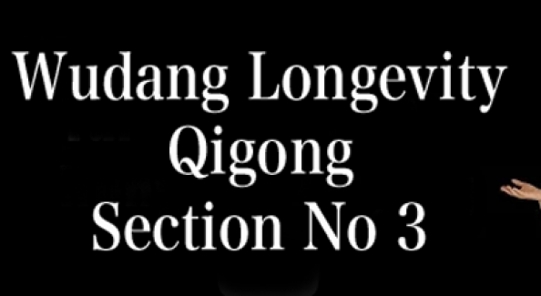 Wudang-Longevity-Qigong-Part-3-Tai-Chi-Hunyuan-Zhuang-Qigong