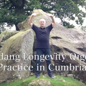 Wudang-Longevity-Qigong-Practice-Tai-Chi-Hunyuan-Zhuang-Qigong-Cumbria4