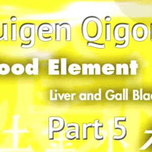 Guigen-Qigong-Part-5-Simon-Blow-Qigong