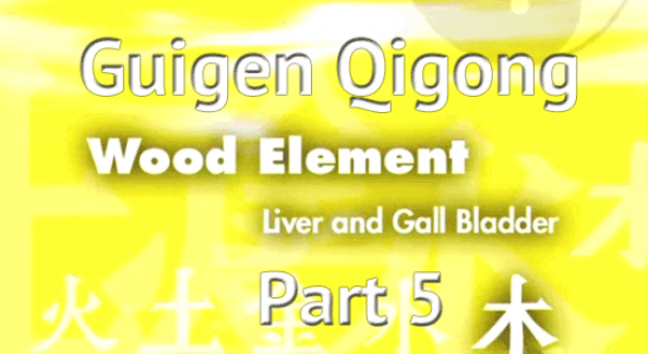 Guigen-Qigong-Part-5-Simon-Blow-Qigong