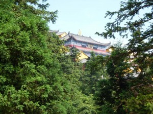 Nine-Immortal-Mountain-Qigong-Study-tour-2012-simonblowqigong.com
